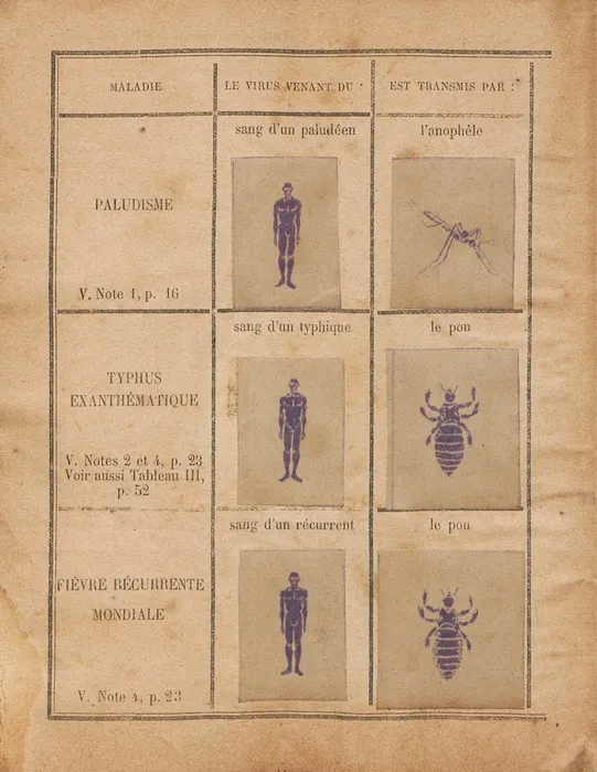 Planche dessinée représentant les différents facteurs de transmission des maladies aux Antilles