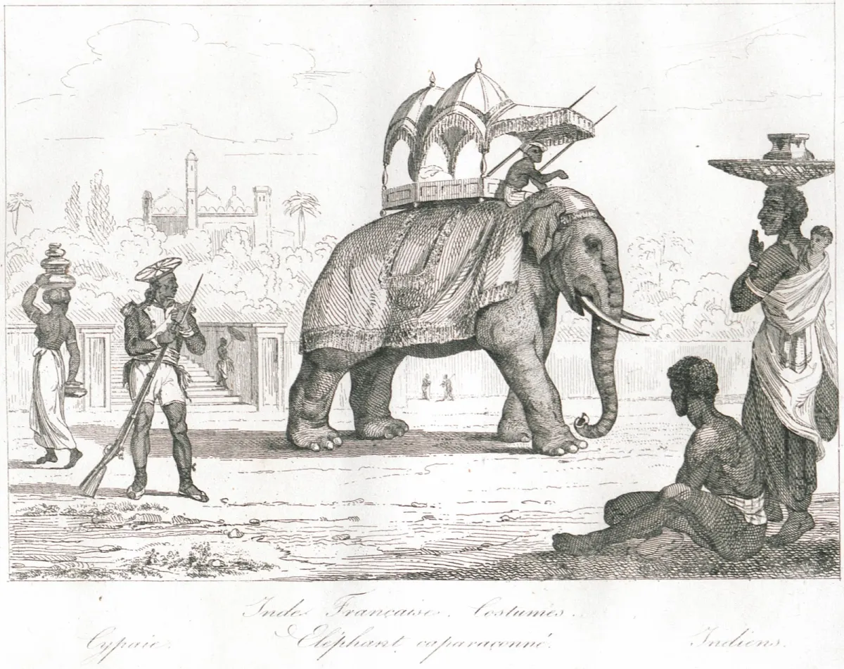 Dessin d'un éléphant