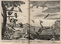 Gravure représentant un homme entouré d'oiseaux