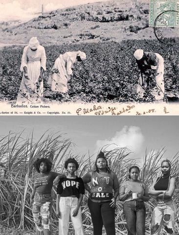 la première image met en scène des cueilleuses dans une plantation de coton en Barbade au 20e siècle et la deuxième image, quatre femmes noires se tenant debout devant une plantation de canne à sucre, face caméra