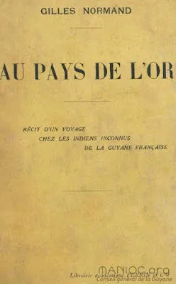 Couverture du livre Au pays de l'or