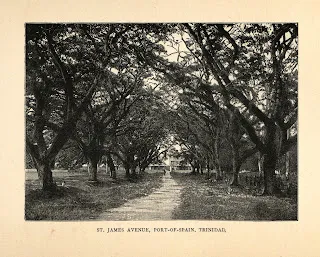 Gravure représentant l'avenue Saint-James et une habitation, à Port-d'Espagne
