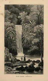 Gravure représentant la cascade du Bassin bleu, Blue basin, Trinidad au 19e siècle