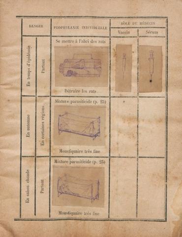 Planche présentant les maladies virulentes aux Antiles