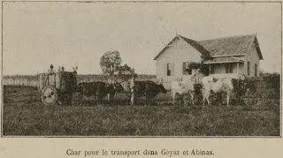 Cliché d'un char pour le transport dans Goyaz et Albinas